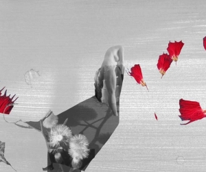 Michelle Lynn Dyrness